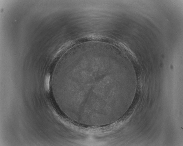 X0000087420024200704271748