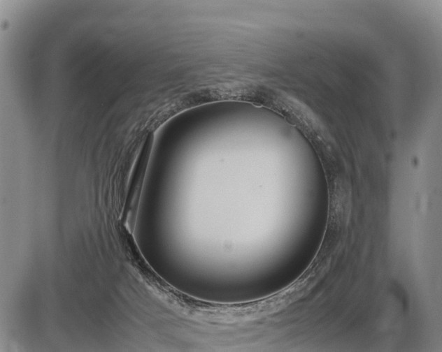 X0000087420025200704271748