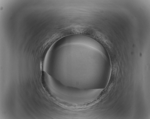 X0000087420027200704271748