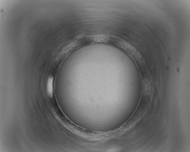 X0000087420028200704271748