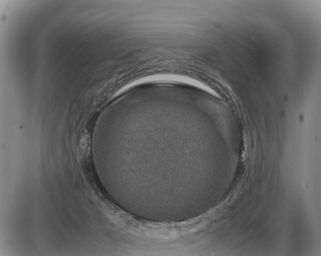 X0000087420029200704271748