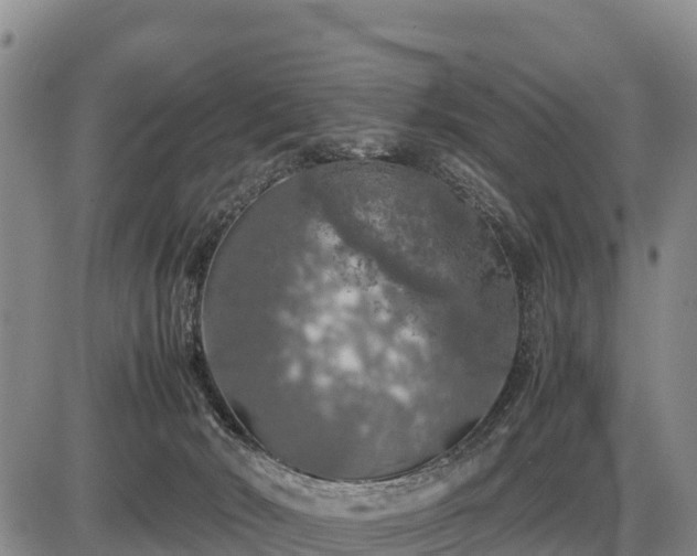 X0000087420030200704271748