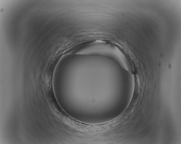 X0000087420031200704271748