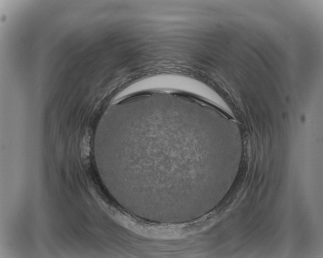 X0000087420032200704271748