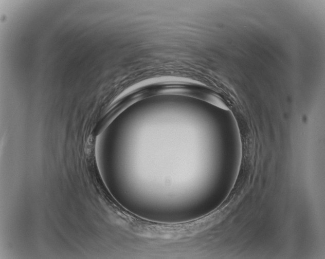 X0000087420033200704271748