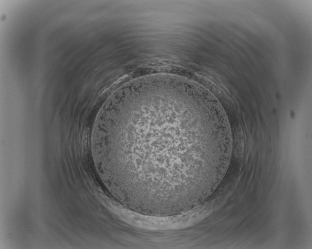 X0000087420034200704271748