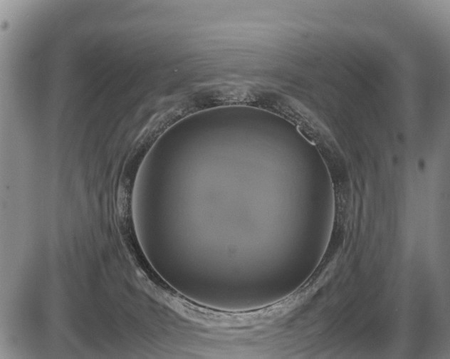 X0000087420035200704271748