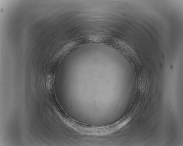 X0000087420036200704271748