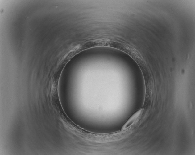 X0000087420037200704271748