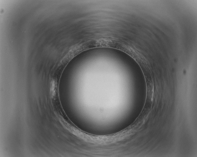 X0000087420038200704271748