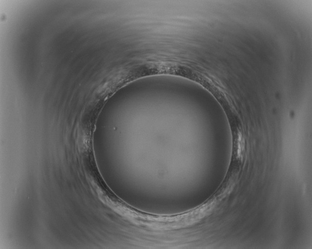 X0000087420039200704271748