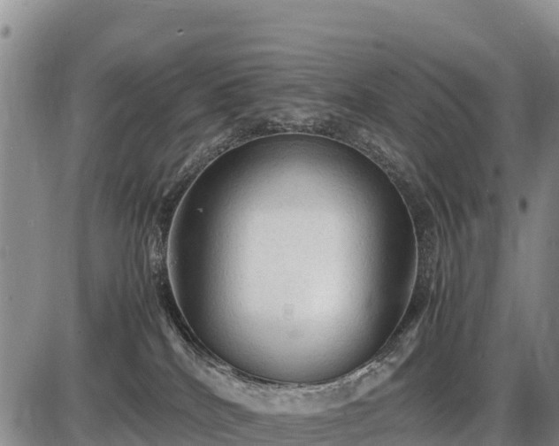 X0000087420040200704271748