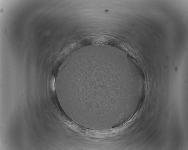 X0000087420041200704271748