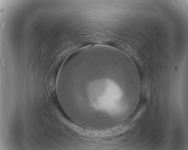 X0000087420043200704271748