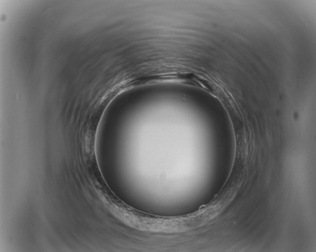 X0000087420044200704271748