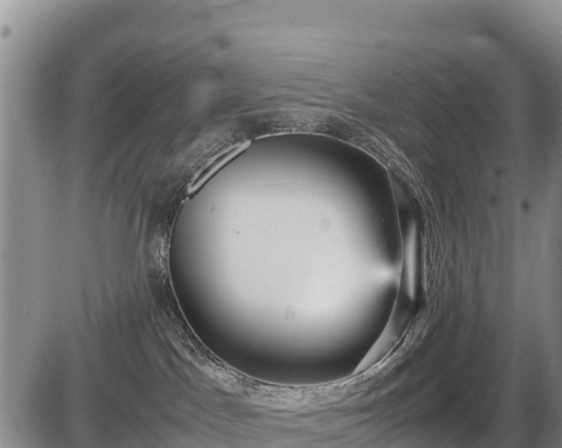 X0000087420045200704271748