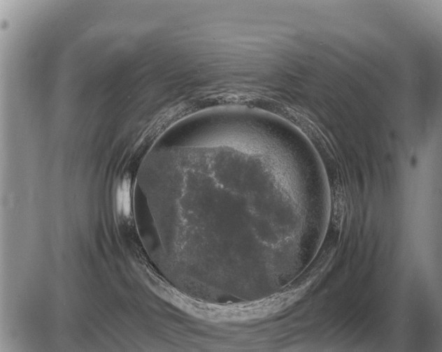 X0000087420046200704271748