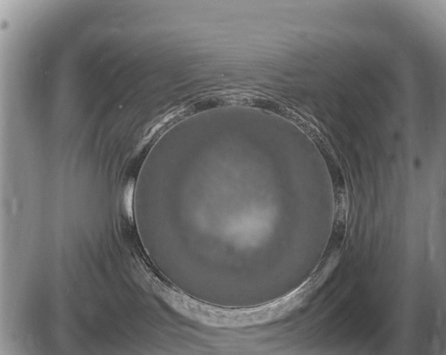 X0000087420047200704271748