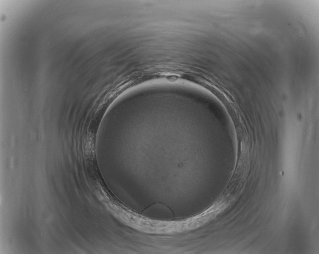 X0000087420048200704271748