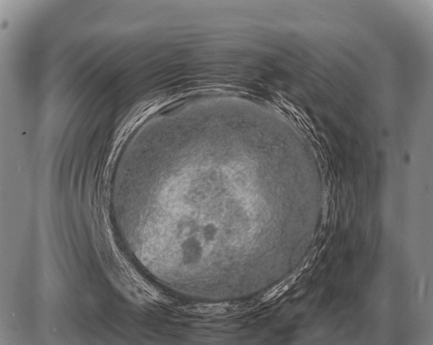 X0000087420049200704271747