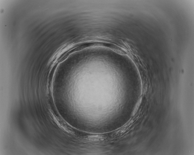 X0000087420050200704271747