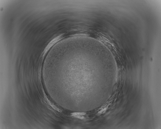 X0000087420051200704271747