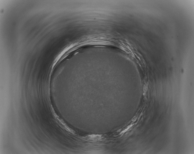 X0000087420052200704271747