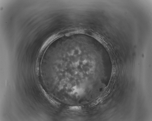 X0000087420053200704271747