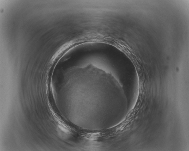 X0000087420054200704271747