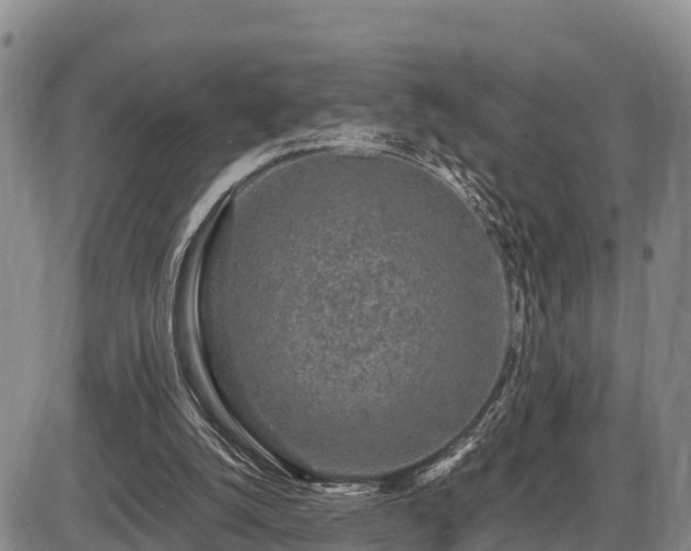 X0000087420056200704271747