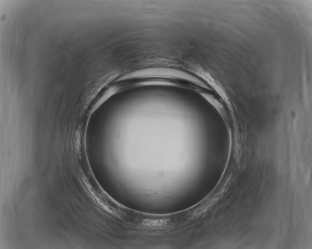 X0000087420057200704271747