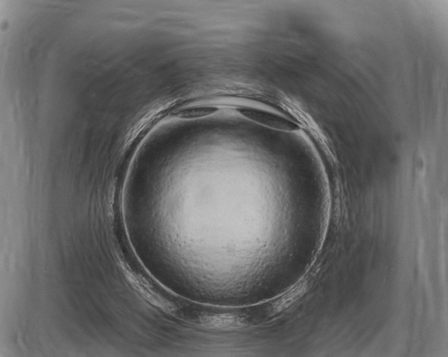 X0000087420058200704271747