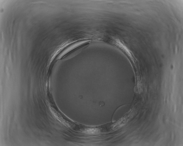 X0000087420059200704271747