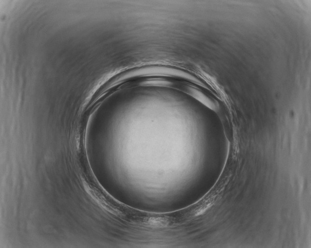 X0000087420060200704271747