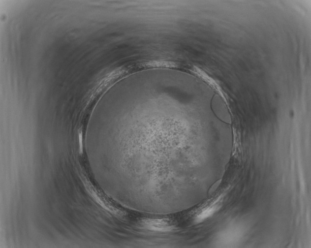 X0000087420061200704271747