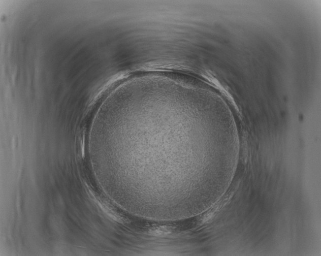 X0000087420062200704271747