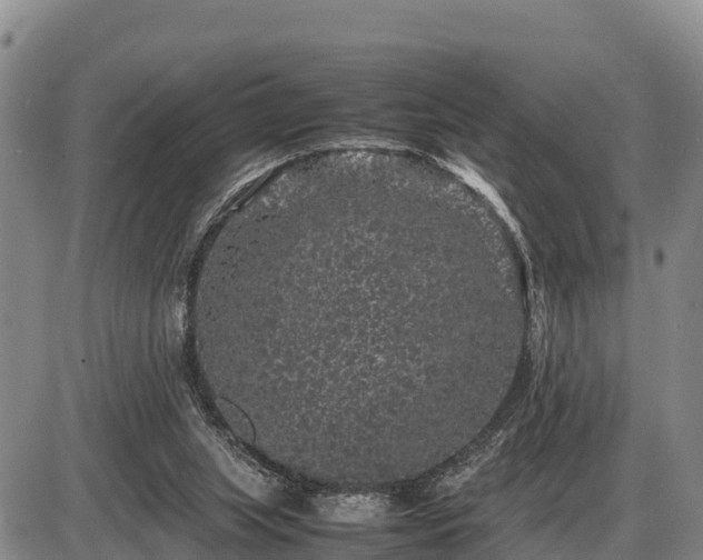 X0000087420063200704271747