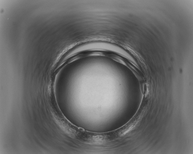 X0000087420064200704271747