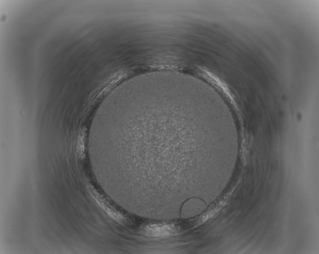 X0000087420065200704271747