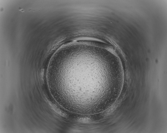 X0000087420066200704271747