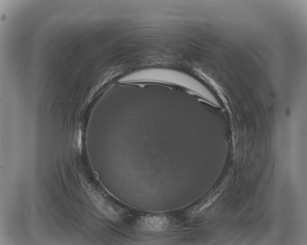 X0000087420067200704271747