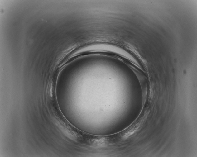 X0000087420068200704271747