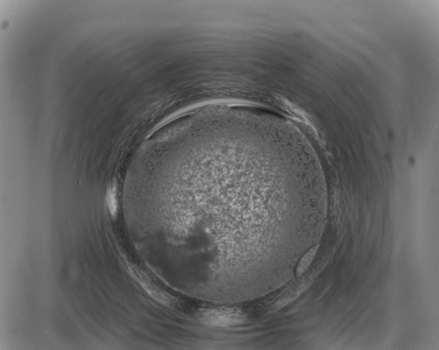 X0000087420069200704271747