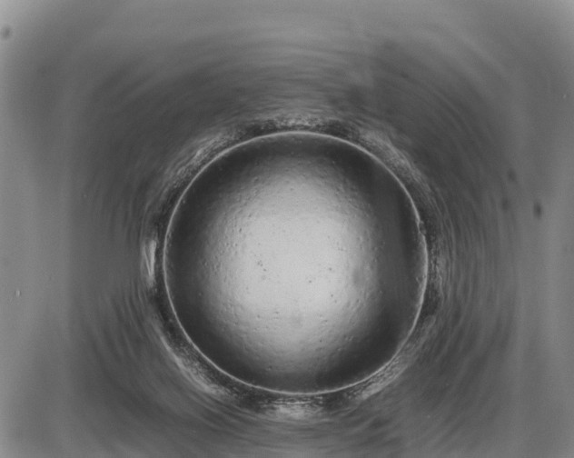 X0000087420070200704271747