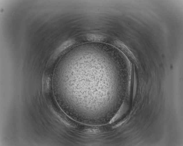 X0000087420071200704271747