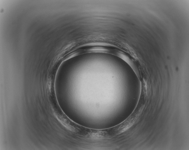 X0000087420072200704271747