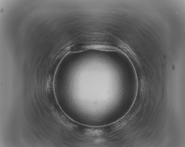 X0000087420073200704271748