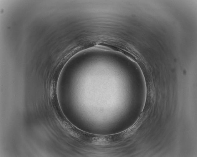 X0000087420074200704271748