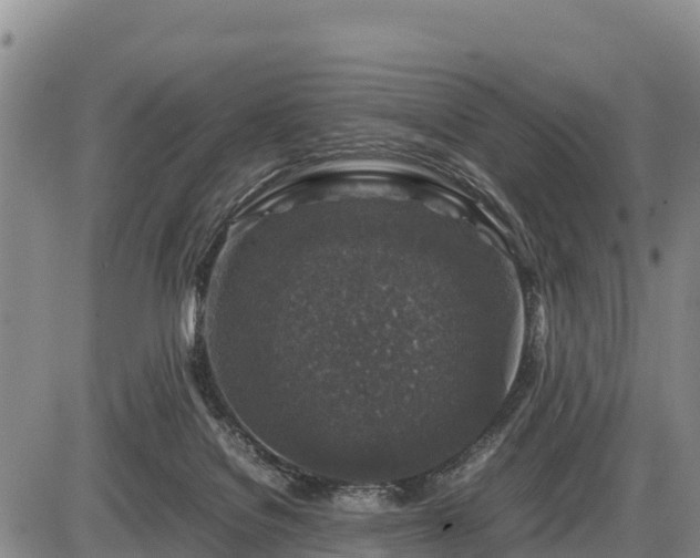 X0000087420076200704271748