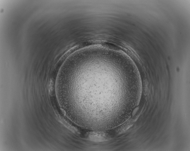 X0000087420077200704271748